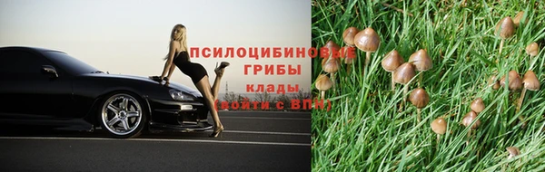 мяу мяу кристалл Алексин
