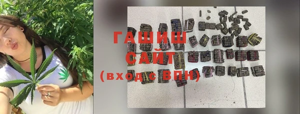 гашик Алексеевка