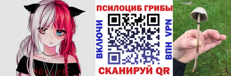 Псилоцибиновые грибы мухоморы  сайты даркнета формула  Кирс 
